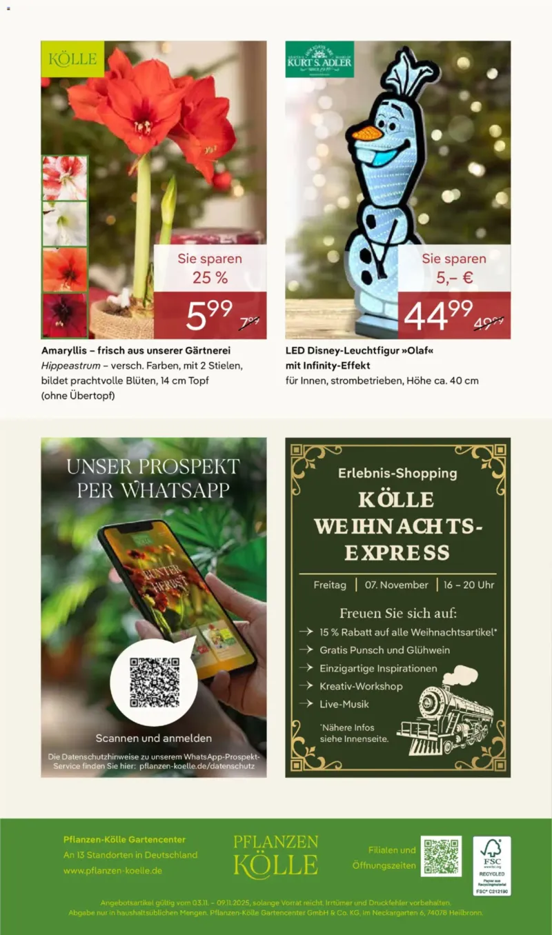 Pflanzen Kölle Prospekt vom 03.11.2025, Seite 20