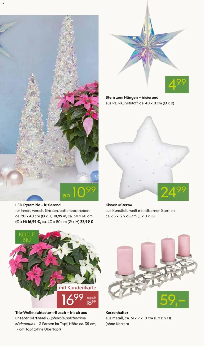 Pflanzen Kölle Prospekt vom 03.11.2025, Seite 3