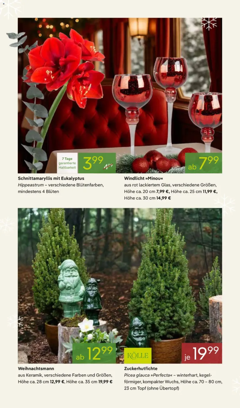 Pflanzen Kölle Prospekt vom 03.11.2025, Seite 4