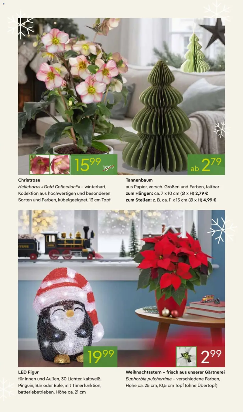 Pflanzen Kölle Prospekt vom 03.11.2025, Seite 5