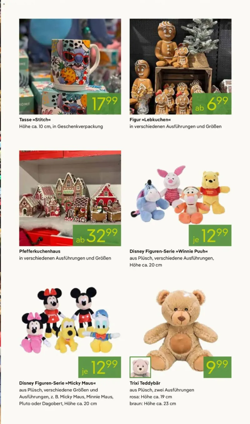 Pflanzen Kölle Prospekt vom 10.11.2025, Seite 11