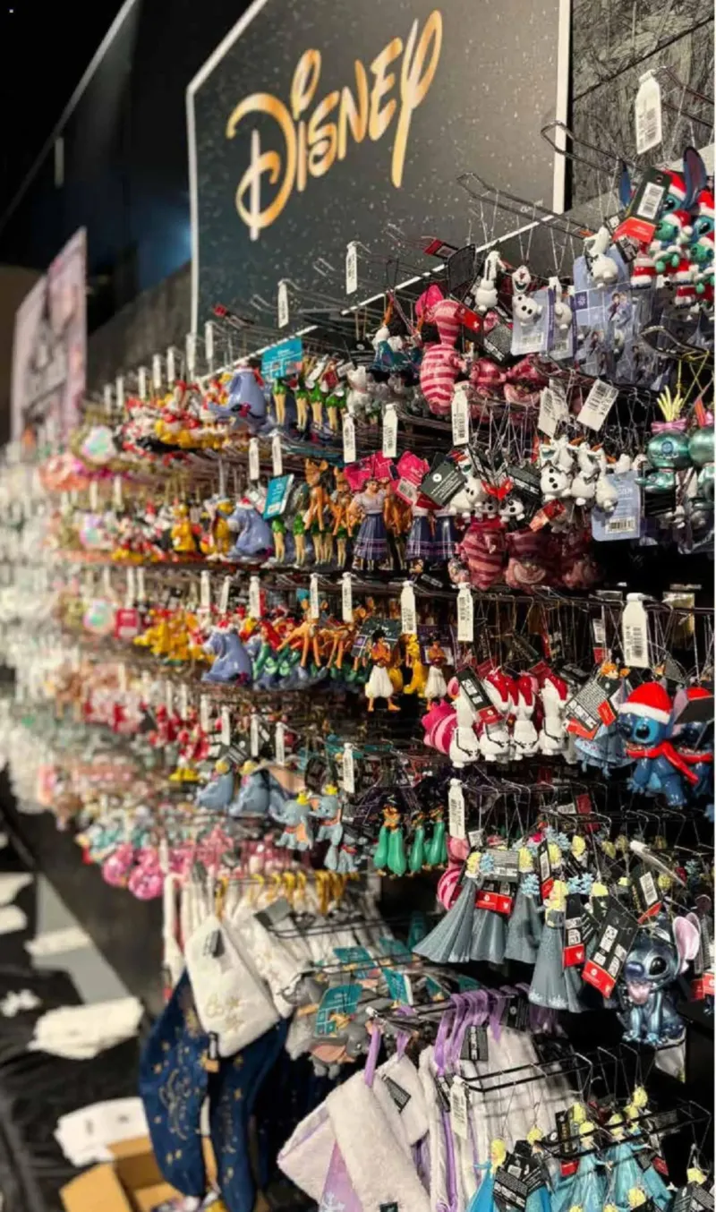 Pflanzen Kölle Prospekt vom 10.11.2025, Seite 12