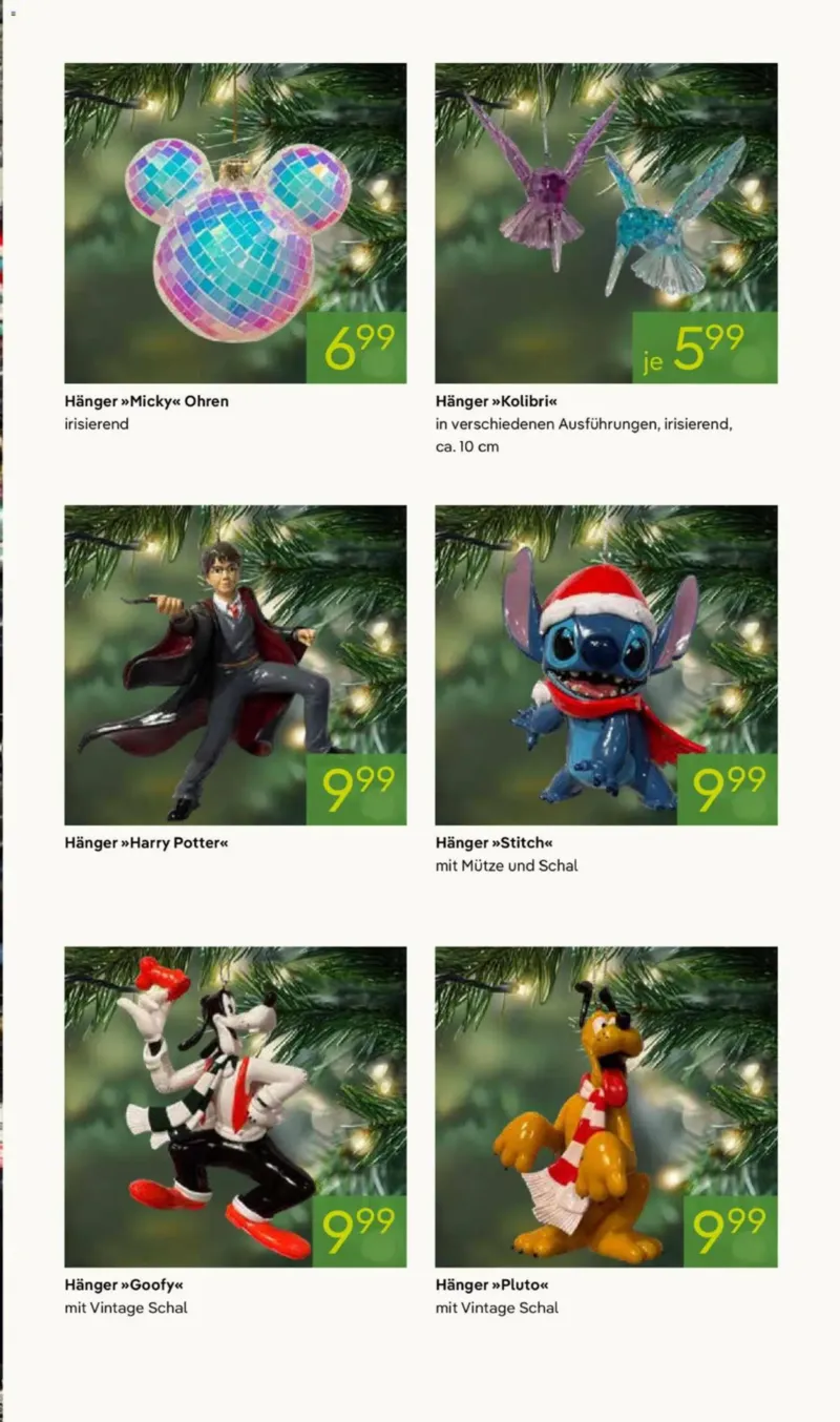 Pflanzen Kölle Prospekt vom 10.11.2025, Seite 13