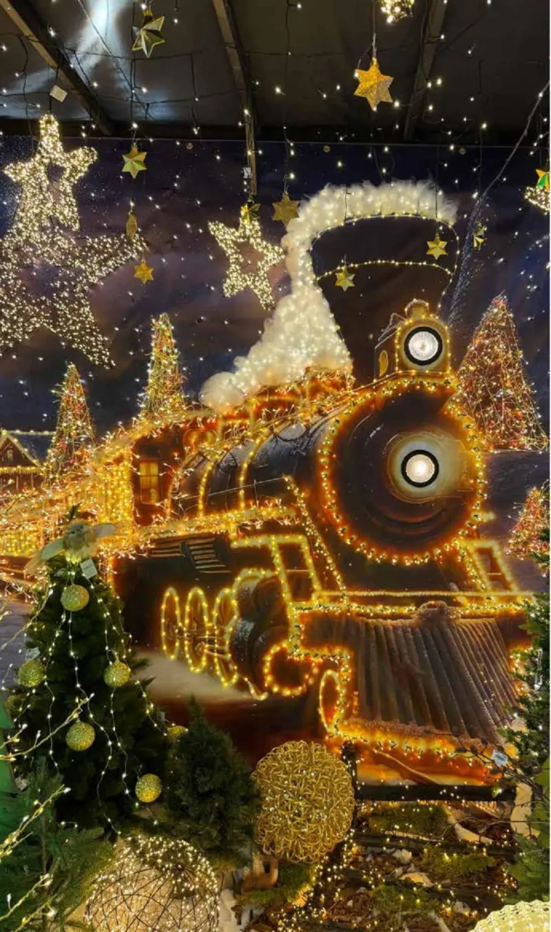 Pflanzen Kölle Prospekt vom 10.11.2025, Seite 14