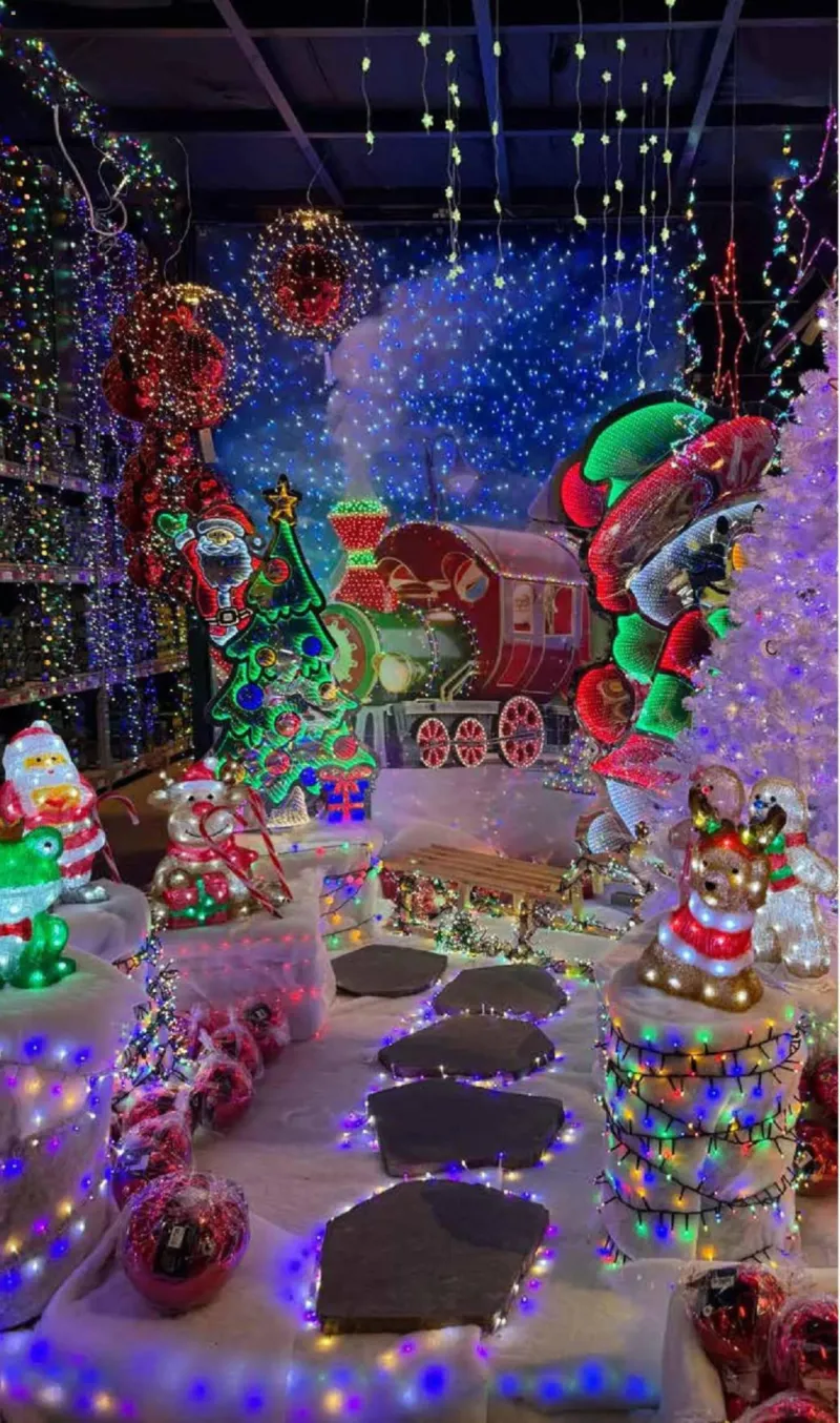 Pflanzen Kölle Prospekt vom 10.11.2025, Seite 16