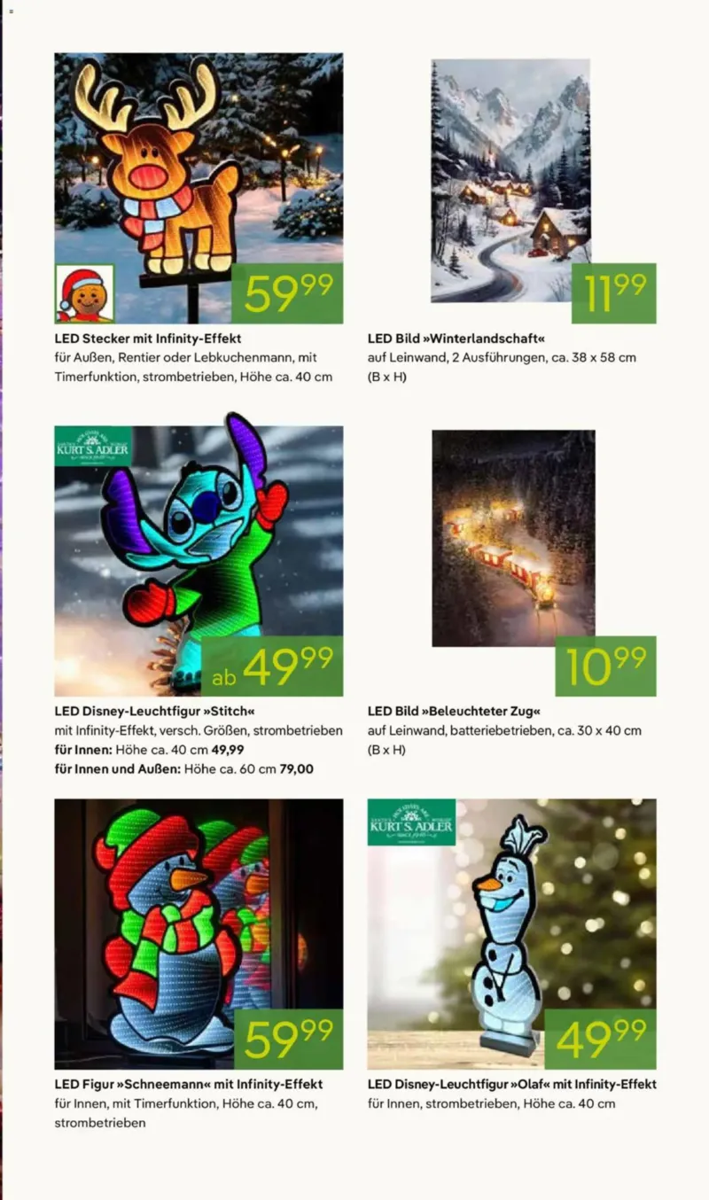 Pflanzen Kölle Prospekt vom 10.11.2025, Seite 17