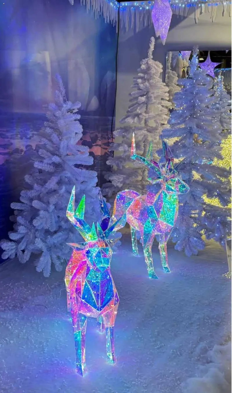 Pflanzen Kölle Prospekt vom 10.11.2025, Seite 2