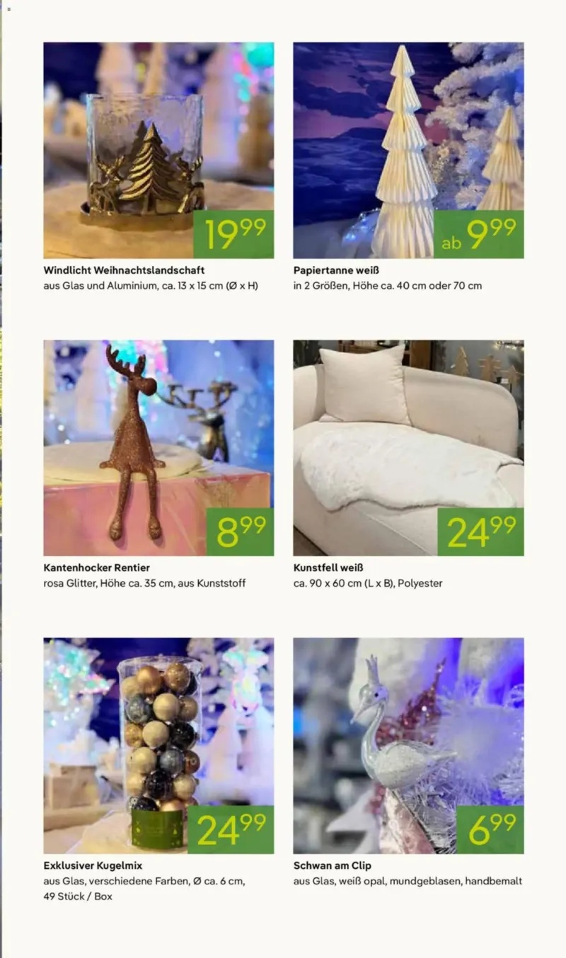 Pflanzen Kölle Prospekt vom 10.11.2025, Seite 3