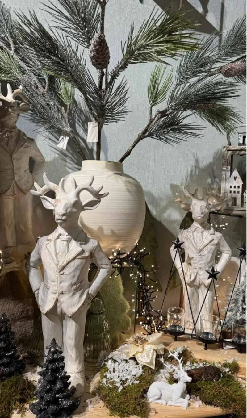 Pflanzen Kölle Prospekt vom 10.11.2025, Seite 4