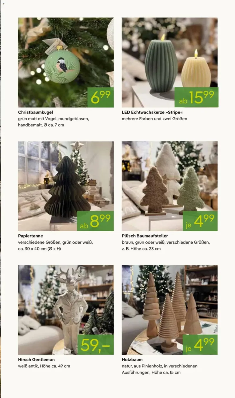 Pflanzen Kölle Prospekt vom 10.11.2025, Seite 5