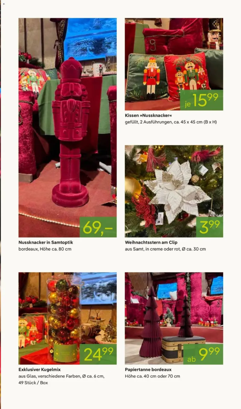 Pflanzen Kölle Prospekt vom 10.11.2025, Seite 7