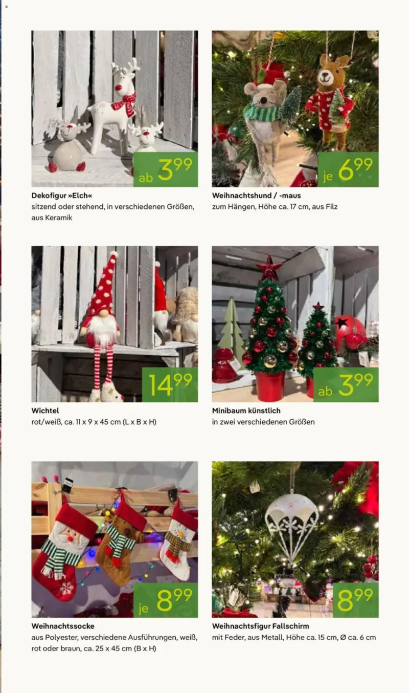 Pflanzen Kölle Prospekt vom 10.11.2025, Seite 9