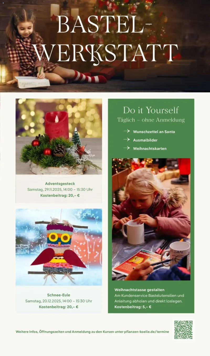 Pflanzen Kölle Prospekt vom 17.11.2025, Seite 11
