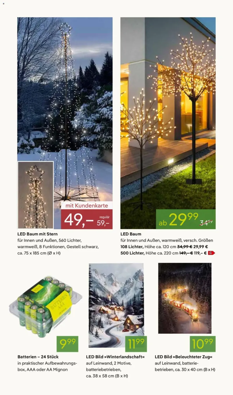 Pflanzen Kölle Prospekt vom 17.11.2025, Seite 12