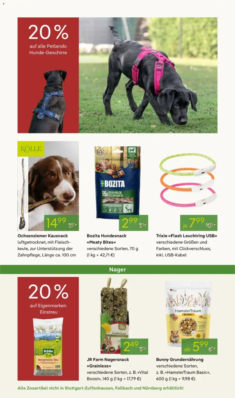 Pflanzen Kölle Prospekt vom 17.11.2025, Seite 14