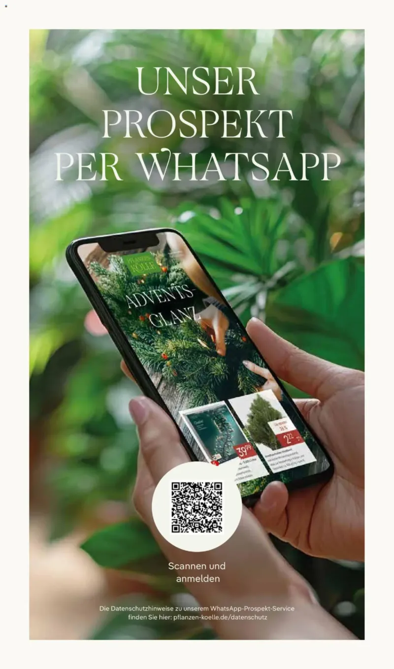 Pflanzen Kölle Prospekt vom 17.11.2025, Seite 16