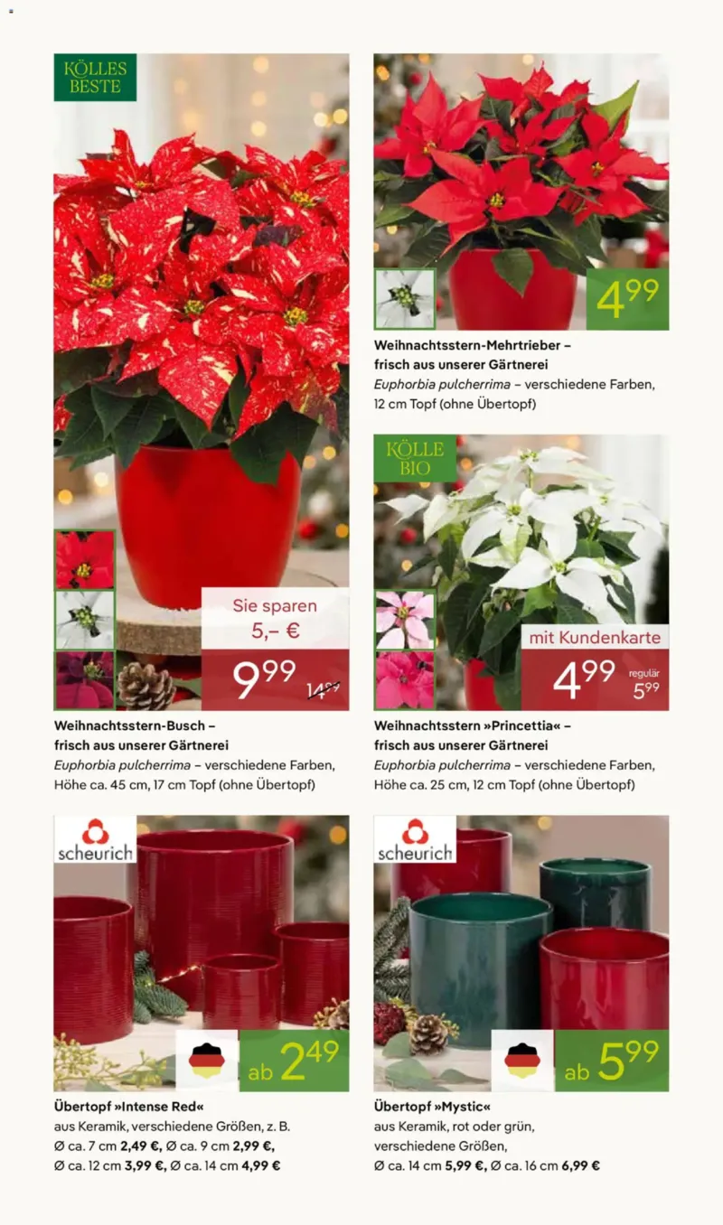 Pflanzen Kölle Prospekt vom 17.11.2025, Seite 2