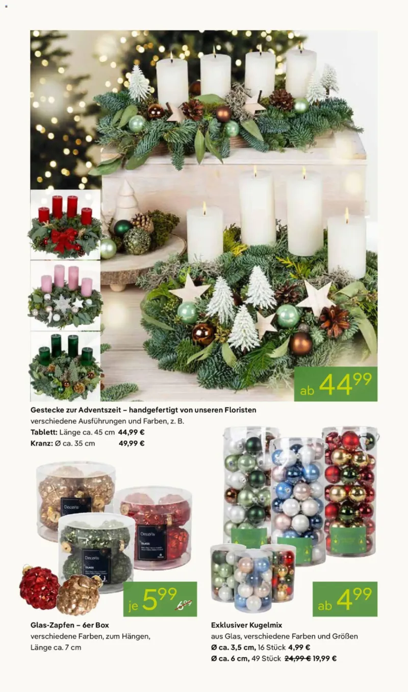 Pflanzen Kölle Prospekt vom 17.11.2025, Seite 4