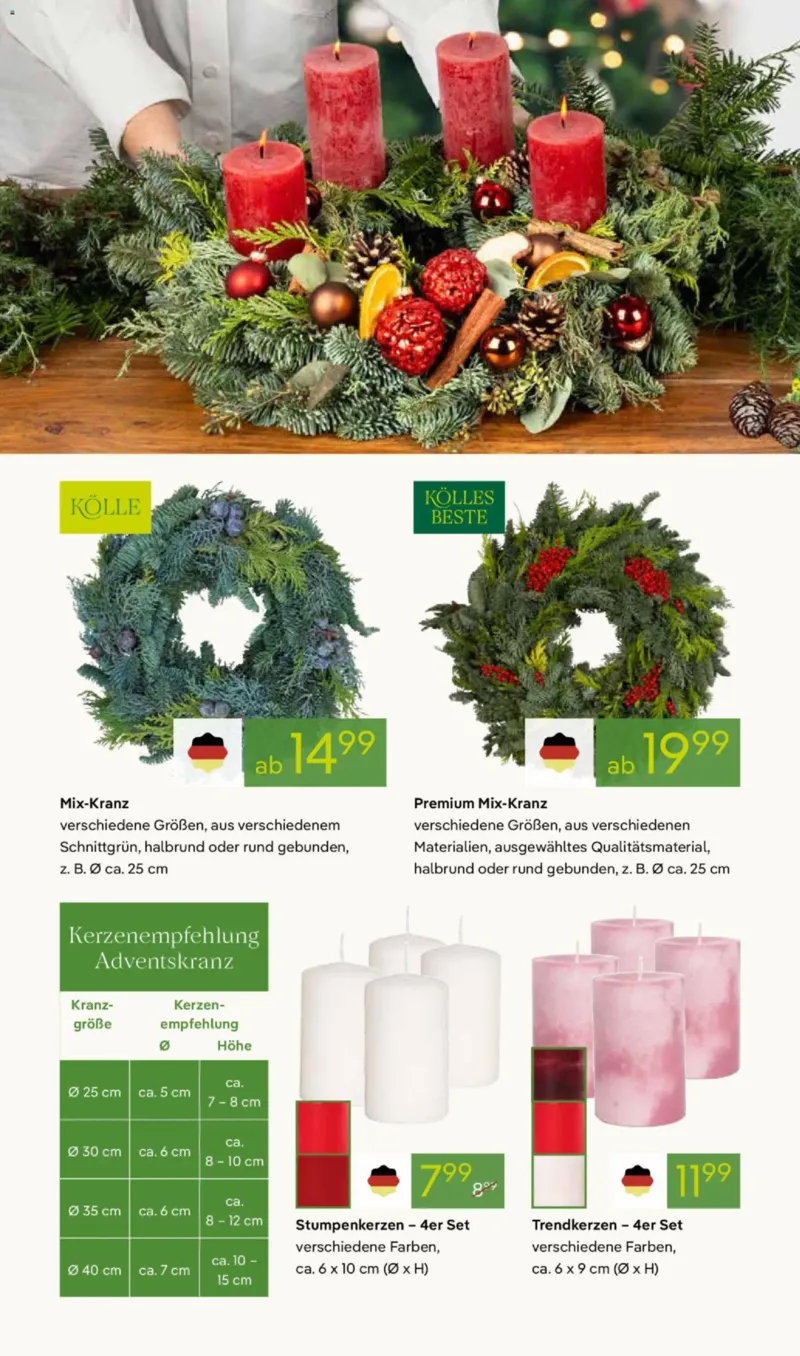 Pflanzen Kölle Prospekt vom 17.11.2025, Seite 6