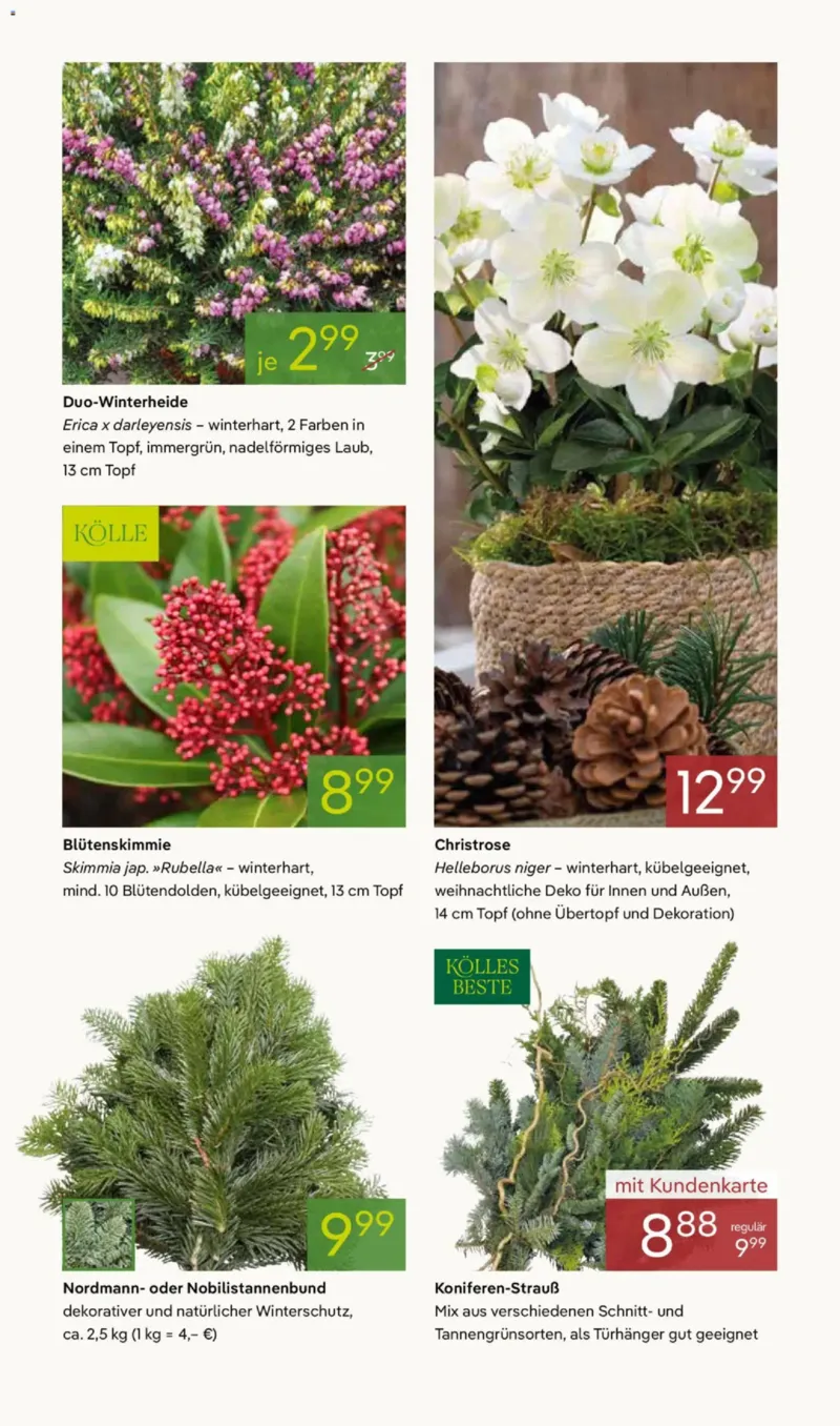 Pflanzen Kölle Prospekt vom 17.11.2025, Seite 9