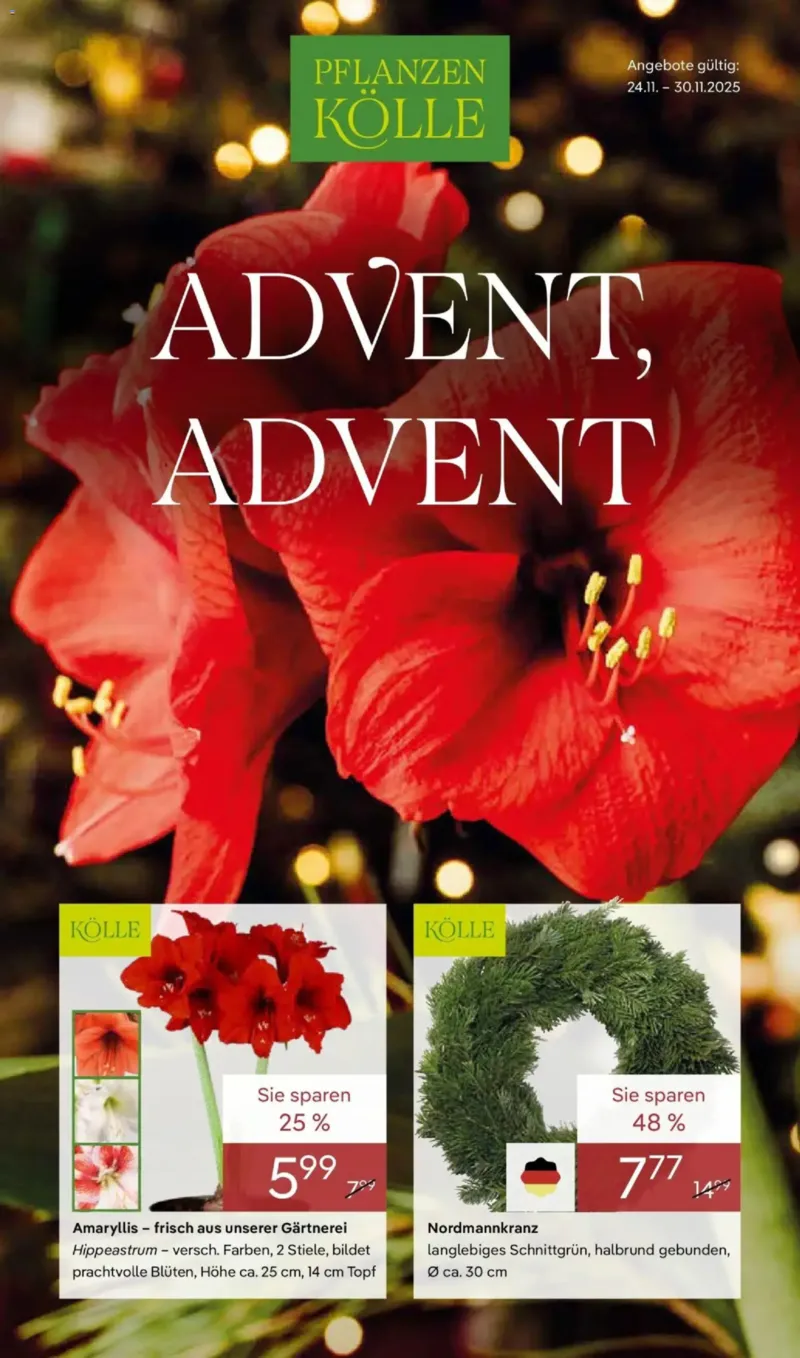 Pflanzen Kölle Prospekt vom 24.11.2025, Seite 1