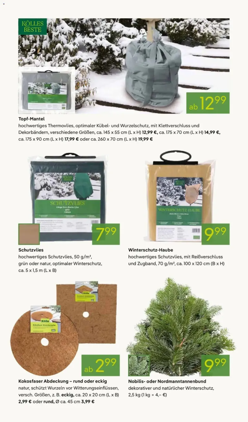 Pflanzen Kölle Prospekt vom 24.11.2025, Seite 12