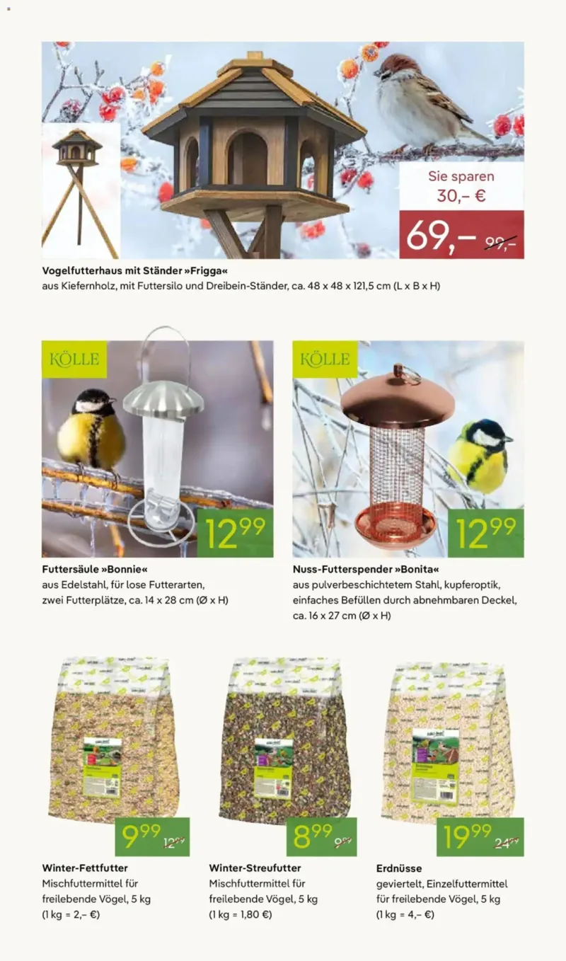 Pflanzen Kölle Prospekt vom 24.11.2025, Seite 13