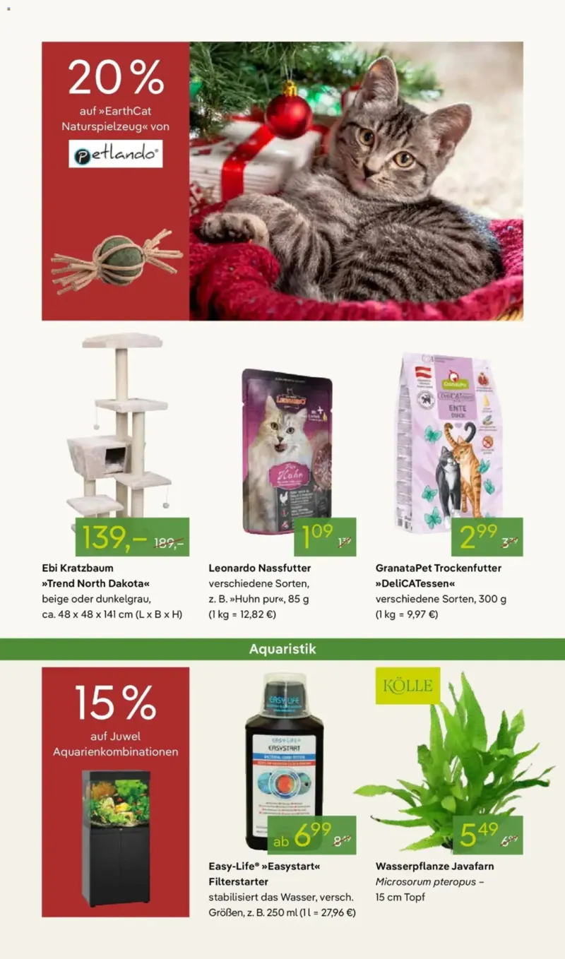 Pflanzen Kölle Prospekt vom 24.11.2025, Seite 15