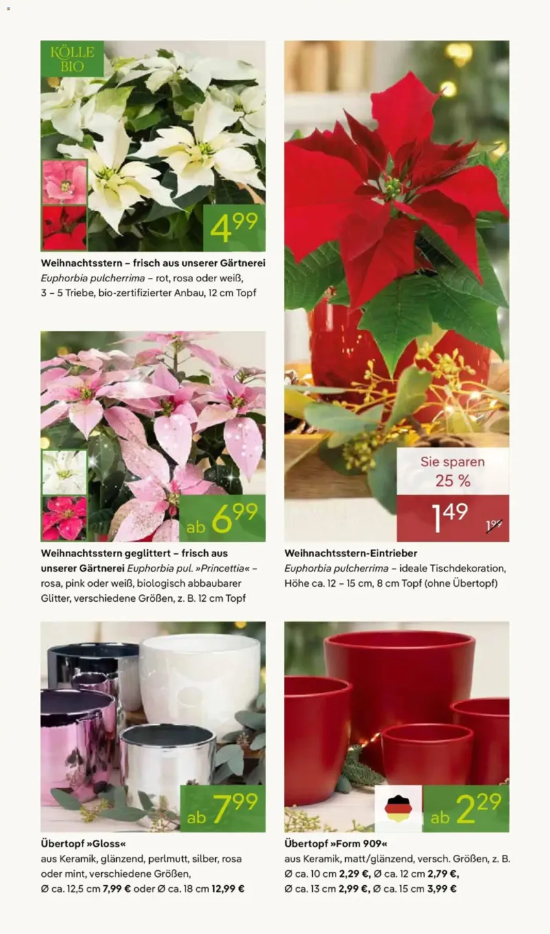 Pflanzen Kölle Prospekt vom 24.11.2025, Seite 3
