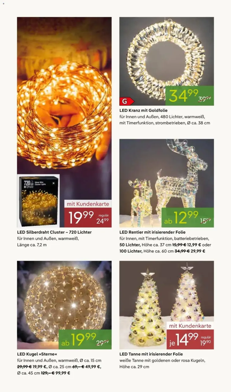 Pflanzen Kölle Prospekt vom 24.11.2025, Seite 4