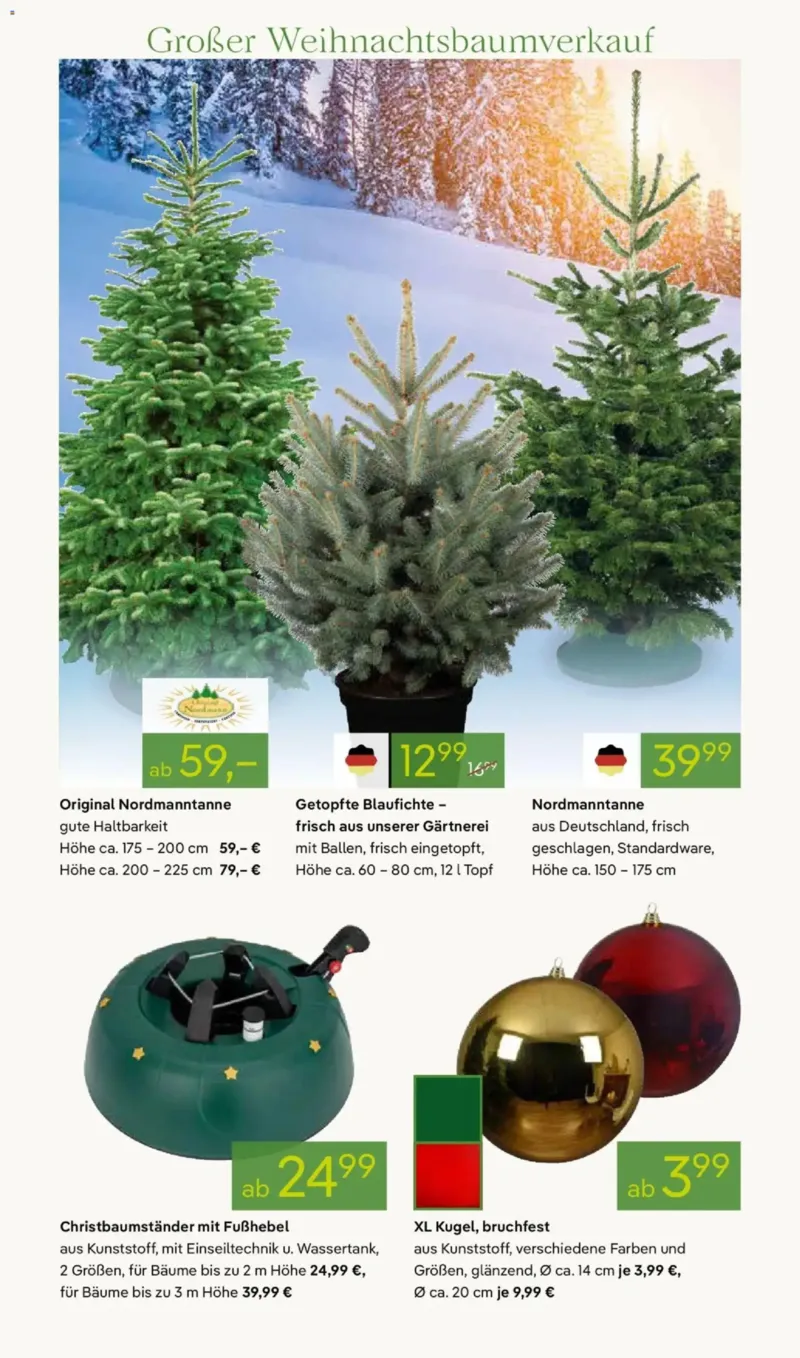 Pflanzen Kölle Prospekt vom 24.11.2025, Seite 6