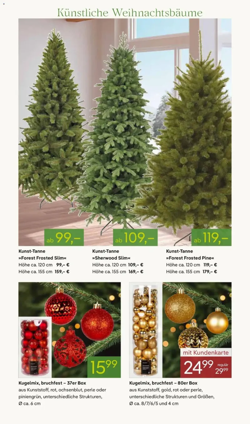 Pflanzen Kölle Prospekt vom 24.11.2025, Seite 7