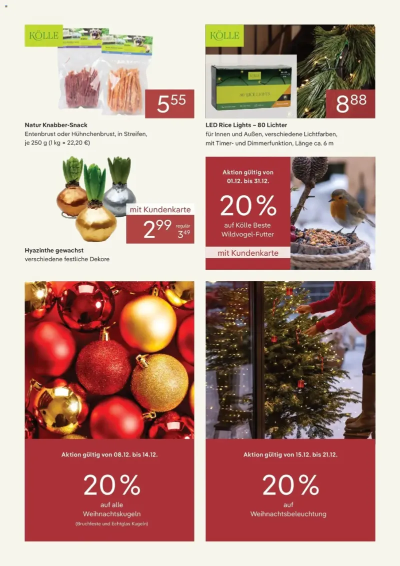 Pflanzen Kölle Prospekt vom 01.12.2025, Seite 2