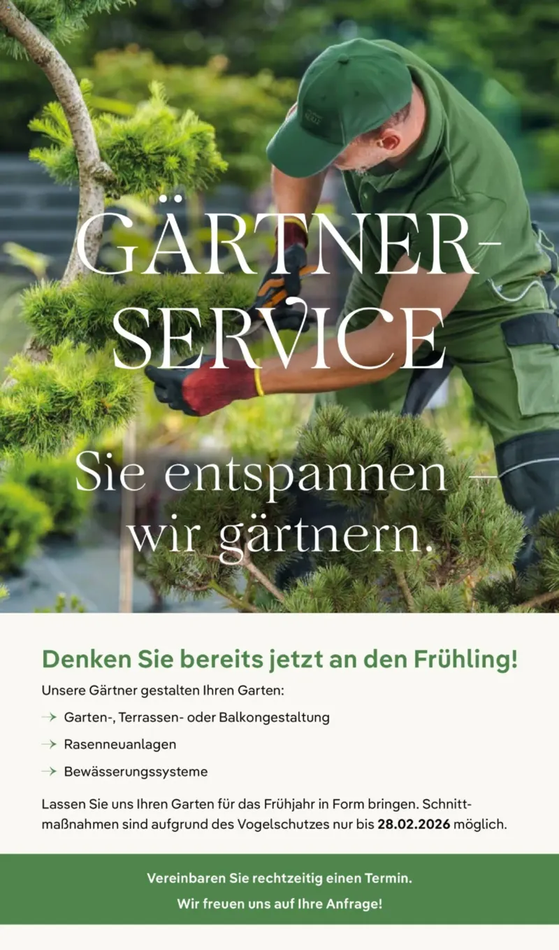 Pflanzen Kölle Prospekt vom 01.12.2025, Seite 10