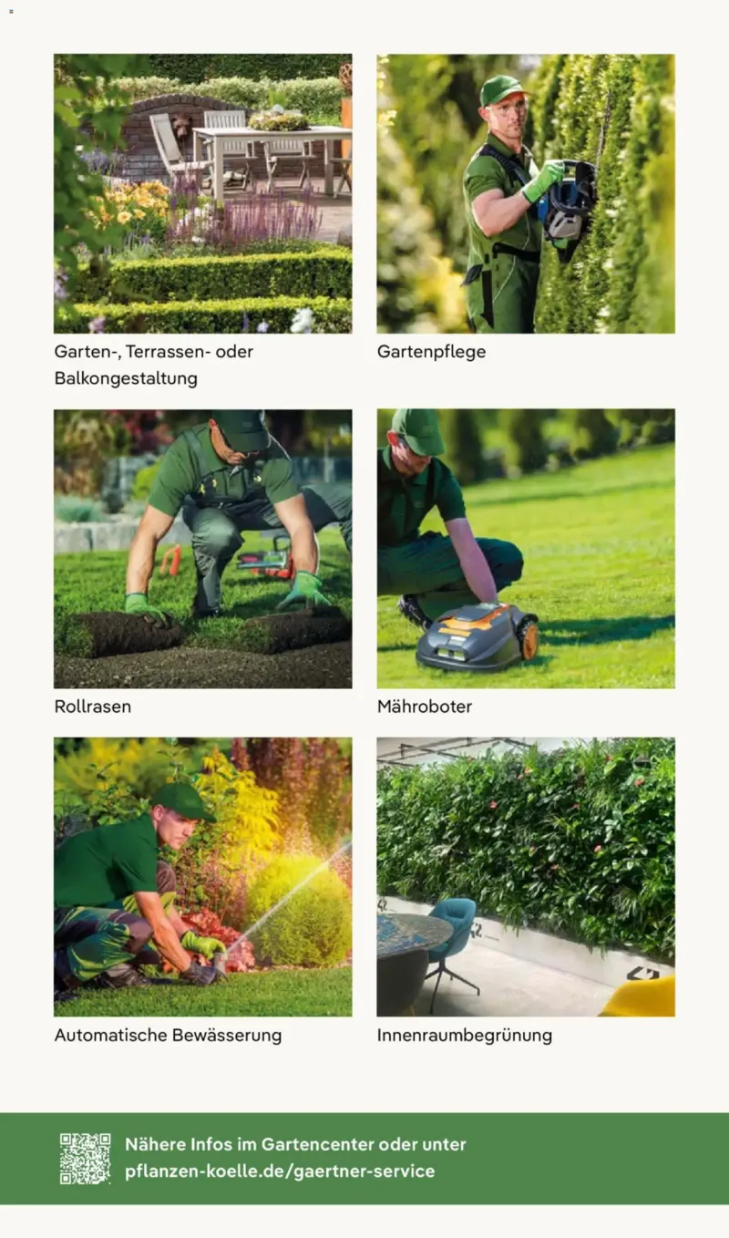 Pflanzen Kölle Prospekt vom 01.12.2025, Seite 11