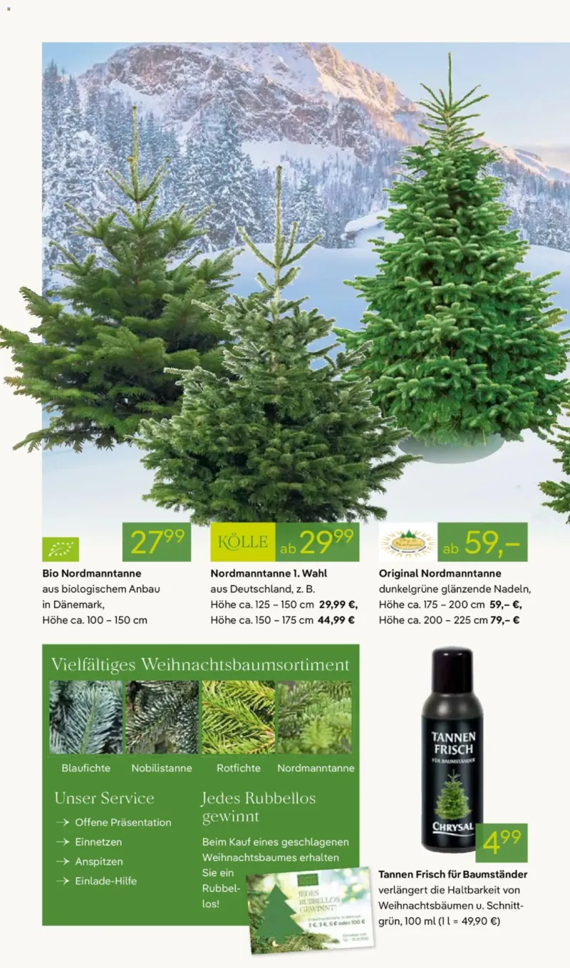 Pflanzen Kölle Prospekt vom 01.12.2025, Seite 2