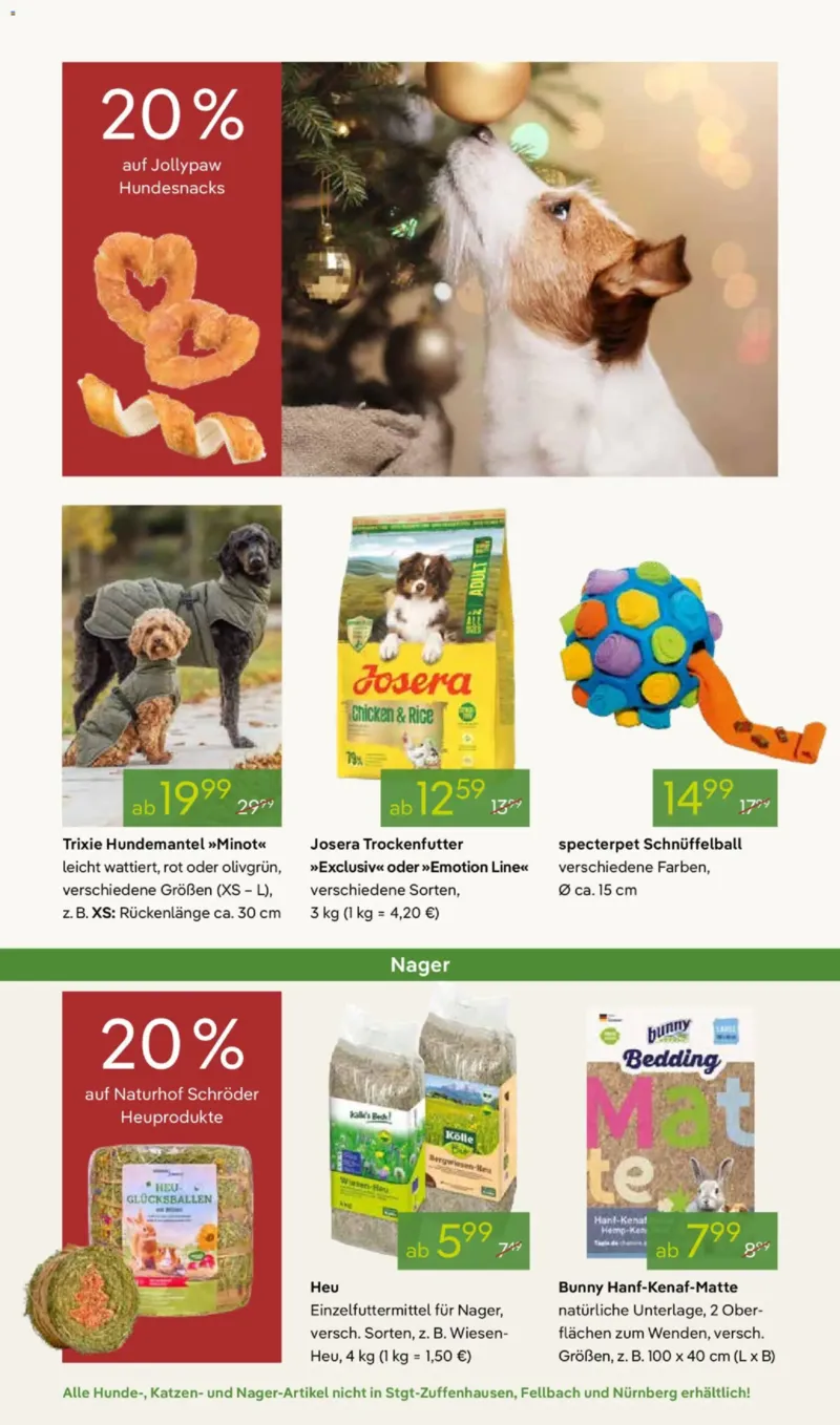 Pflanzen Kölle Prospekt vom 01.12.2025, Seite 8