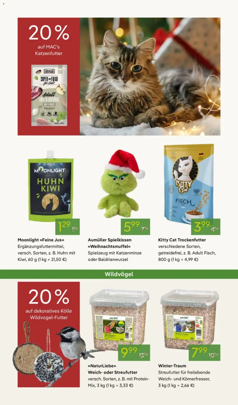 Pflanzen Kölle Prospekt vom 01.12.2025, Seite 9