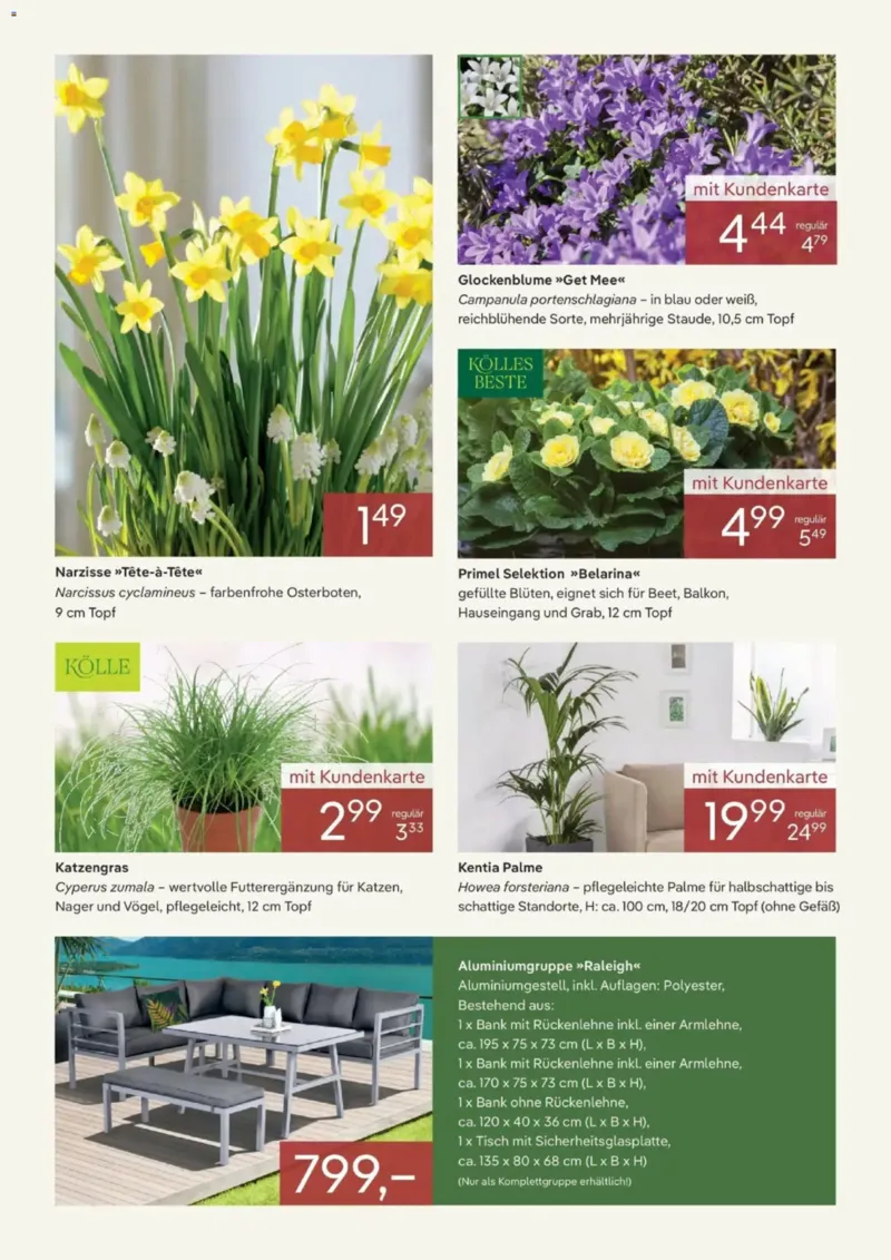 Pflanzen Kölle Prospekt vom 01.01.2026, Seite 2