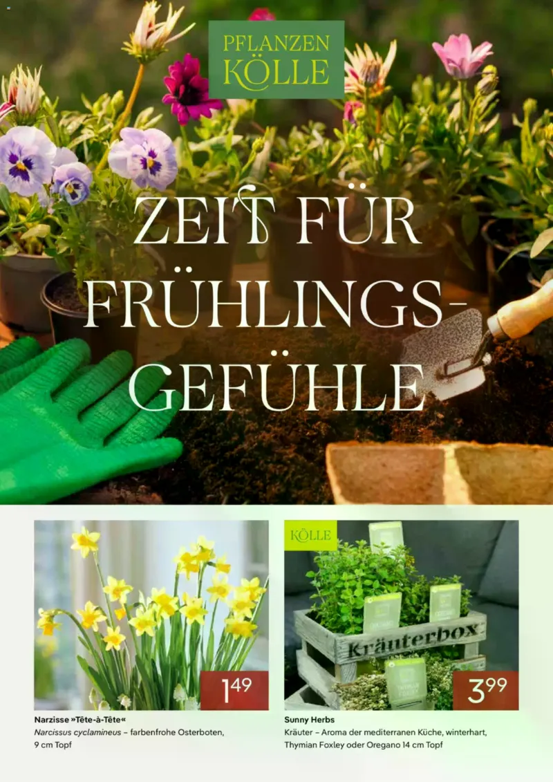 Pflanzen Kölle Prospekt vom 01.02.2026, Seite 1