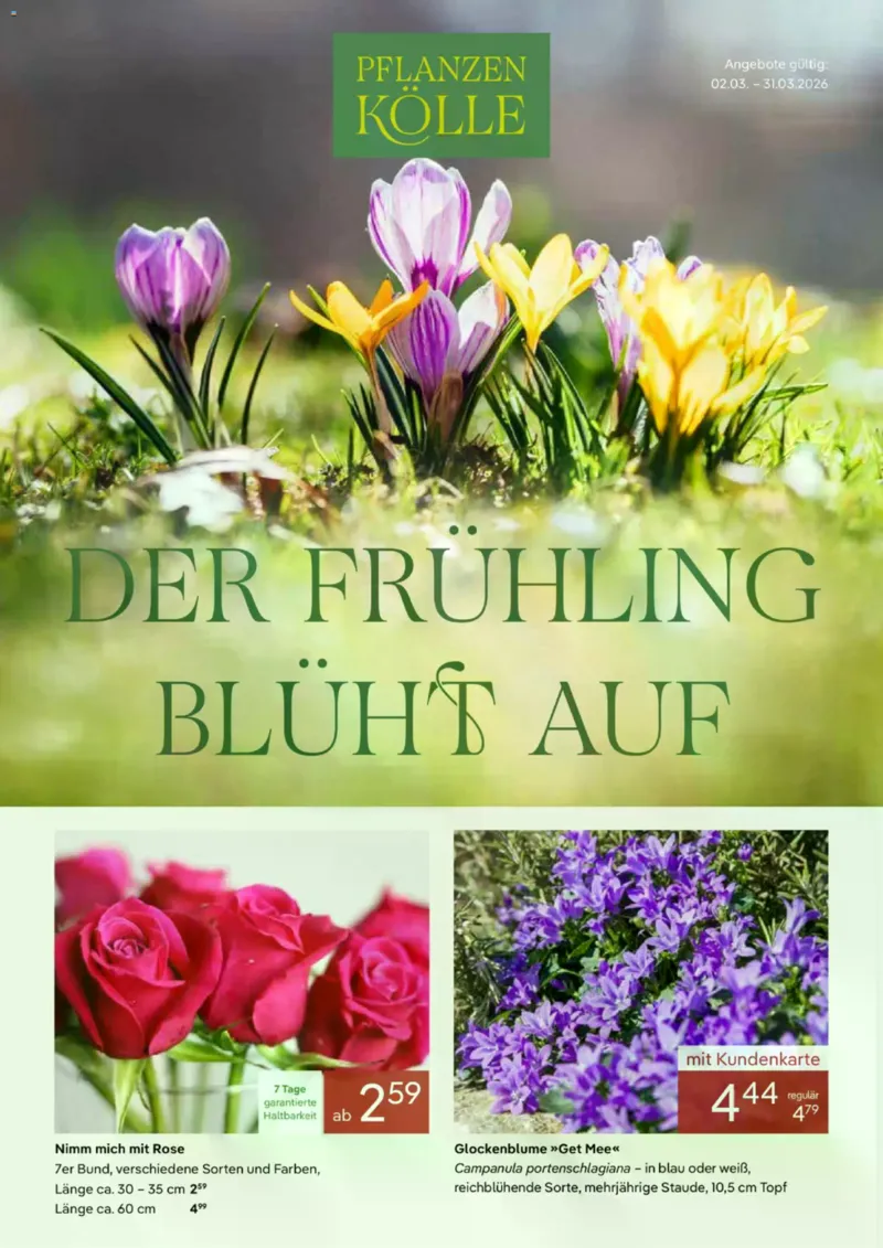 Pflanzen Kölle Prospekt vom 02.03.2026, Seite 1