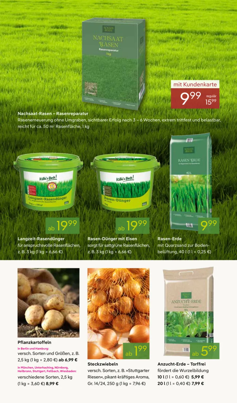 Pflanzen Kölle Prospekt vom 02.03.2026, Seite 11