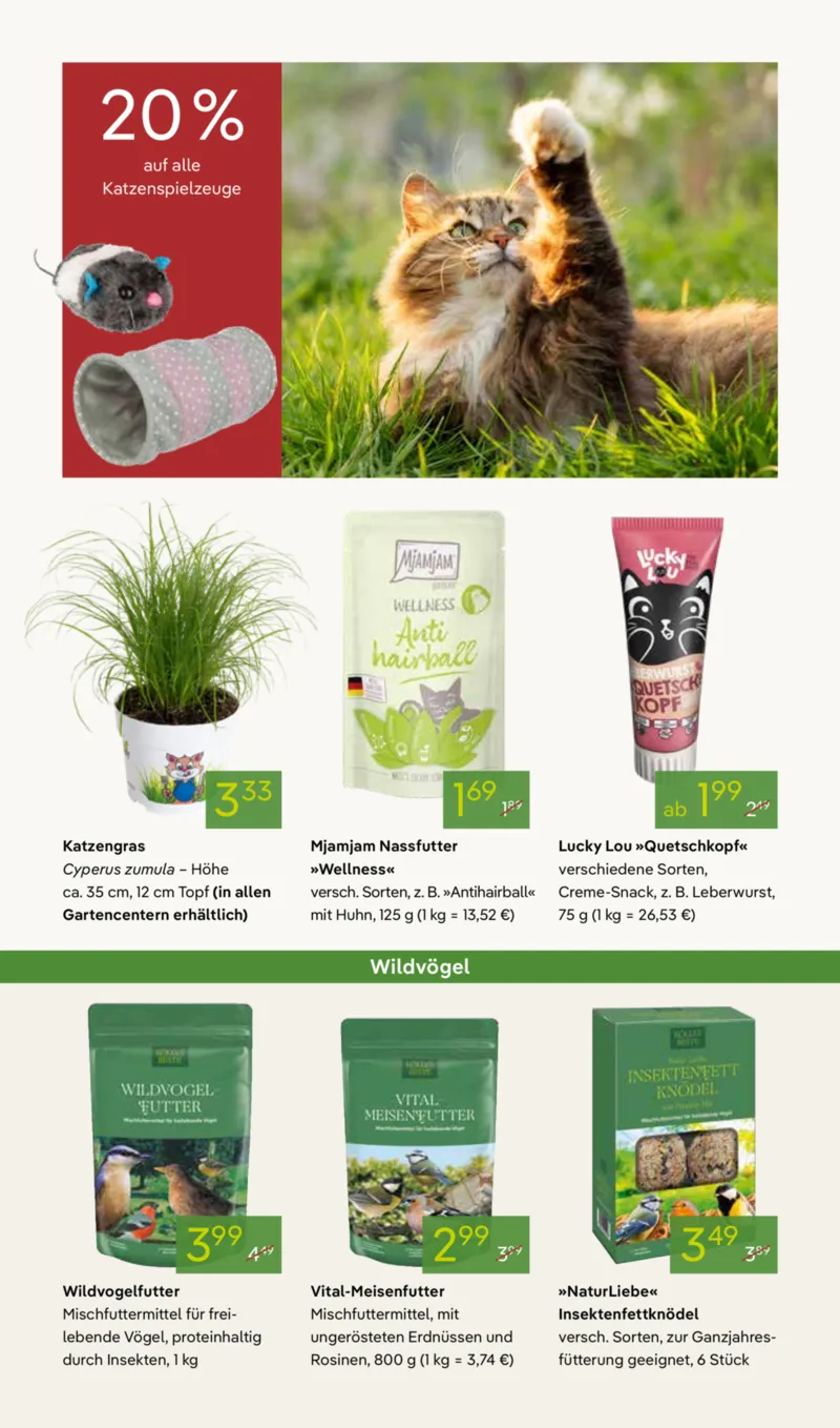 Pflanzen Kölle Prospekt vom 02.03.2026, Seite 15