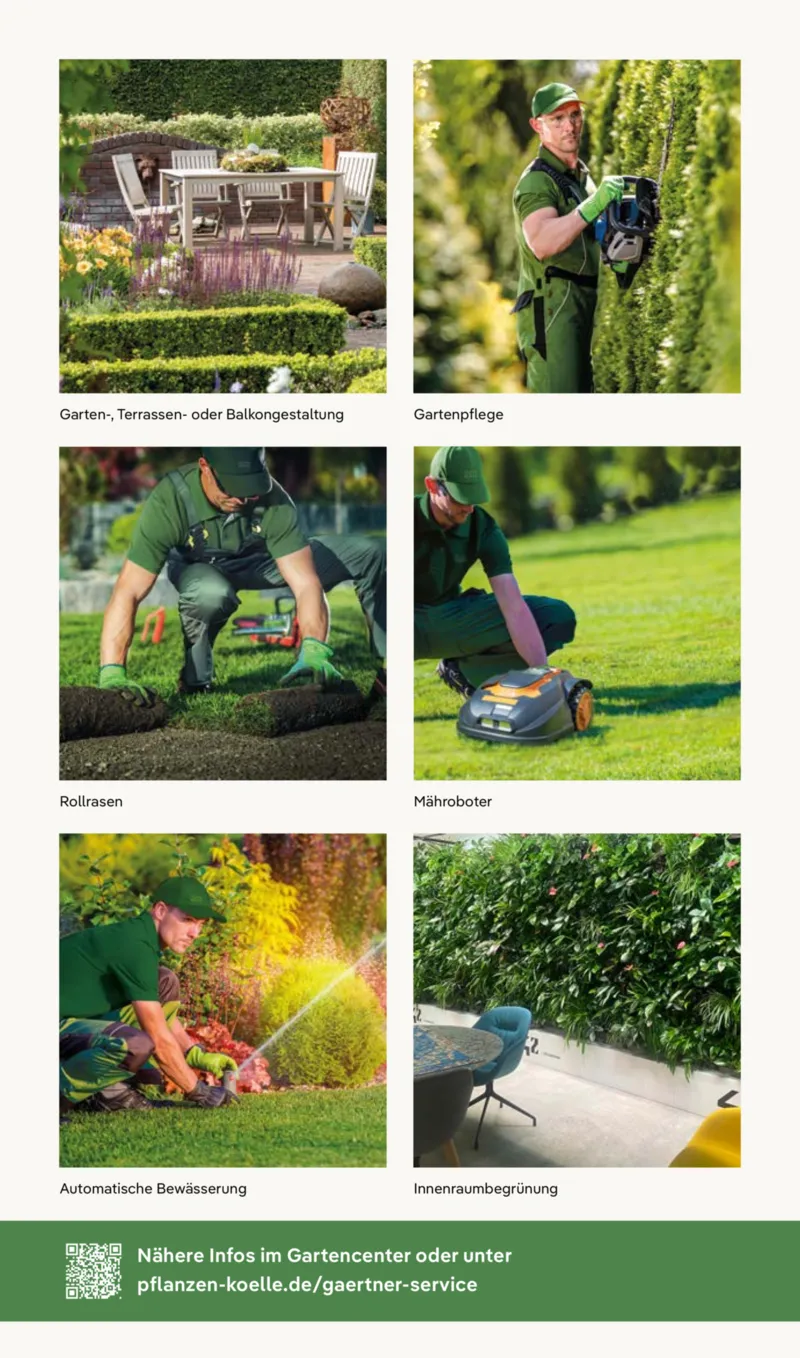 Pflanzen Kölle Prospekt vom 02.03.2026, Seite 16