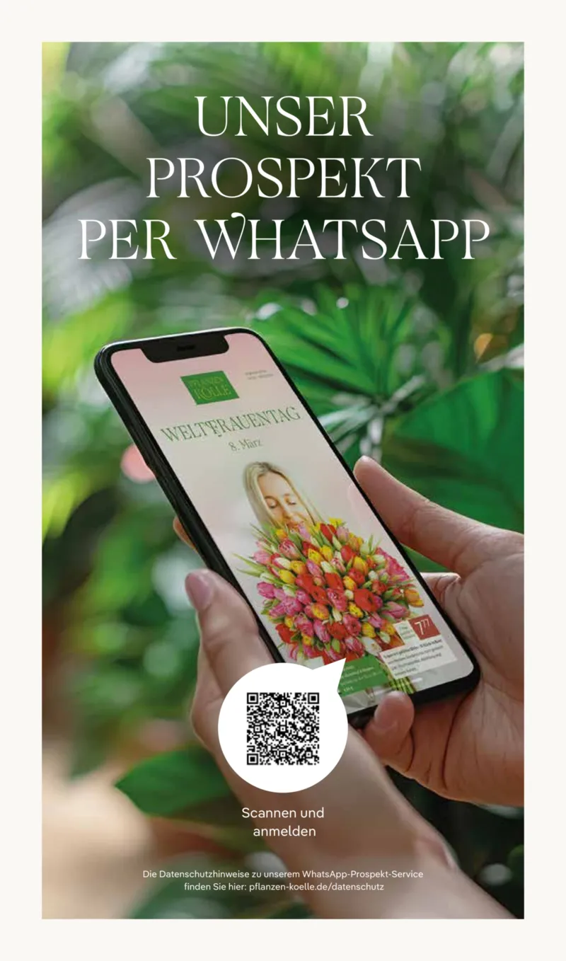 Pflanzen Kölle Prospekt vom 02.03.2026, Seite 18