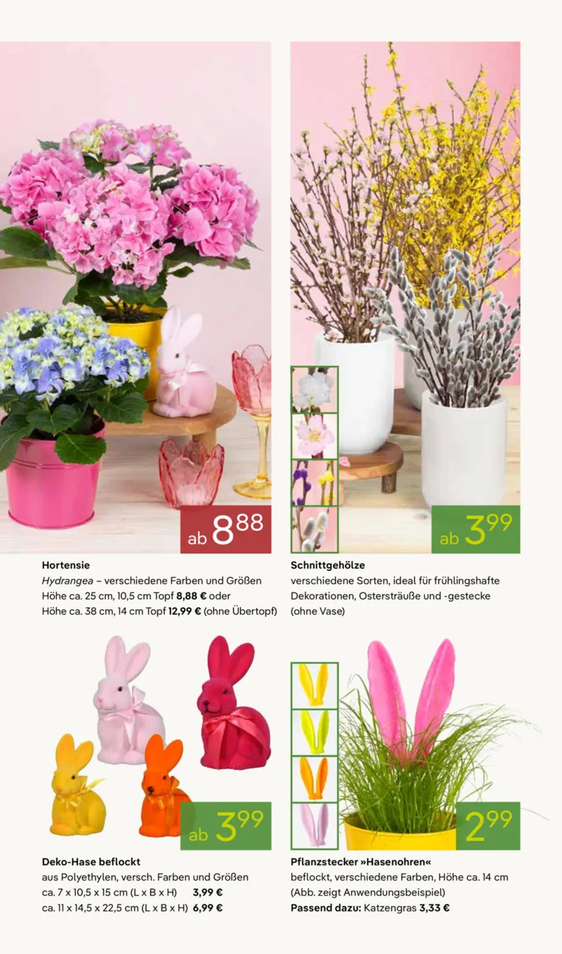 Pflanzen Kölle Prospekt vom 02.03.2026, Seite 3