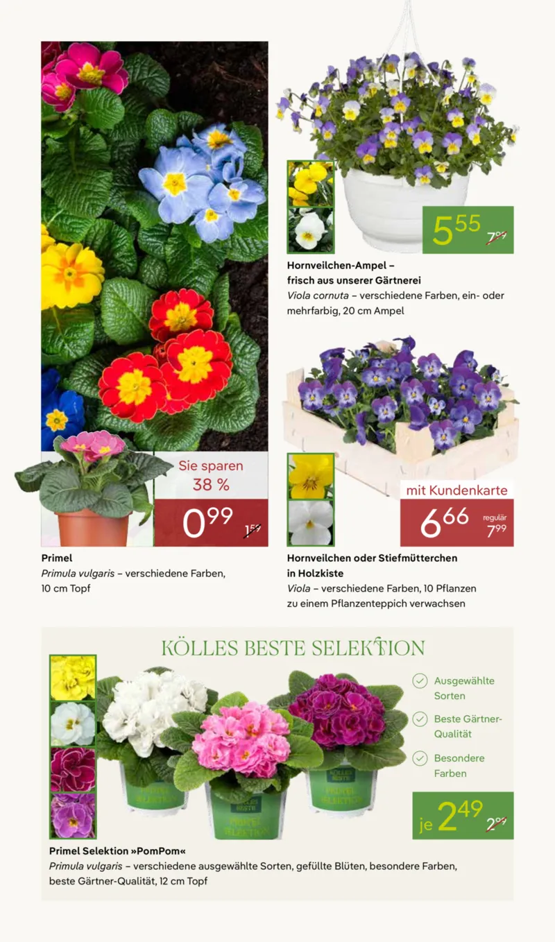 Pflanzen Kölle Prospekt vom 02.03.2026, Seite 4