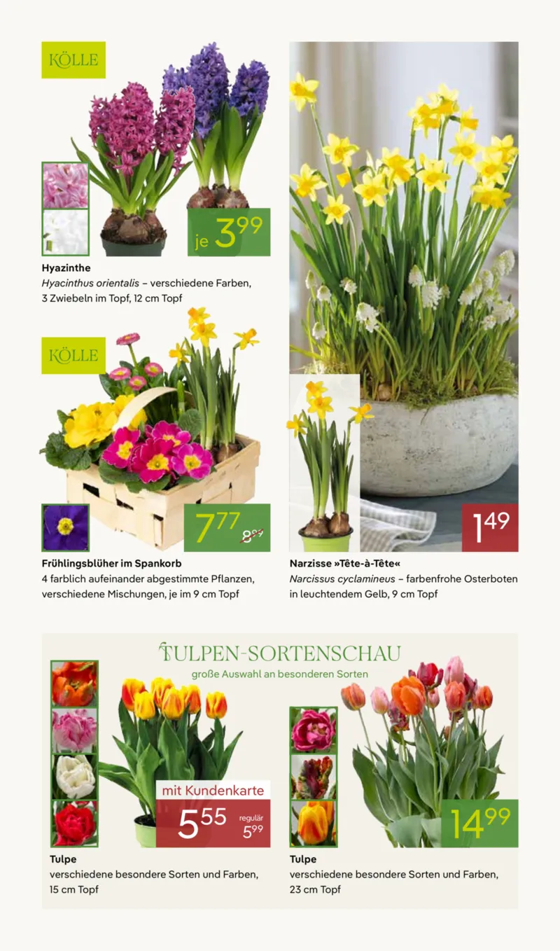 Pflanzen Kölle Prospekt vom 02.03.2026, Seite 5