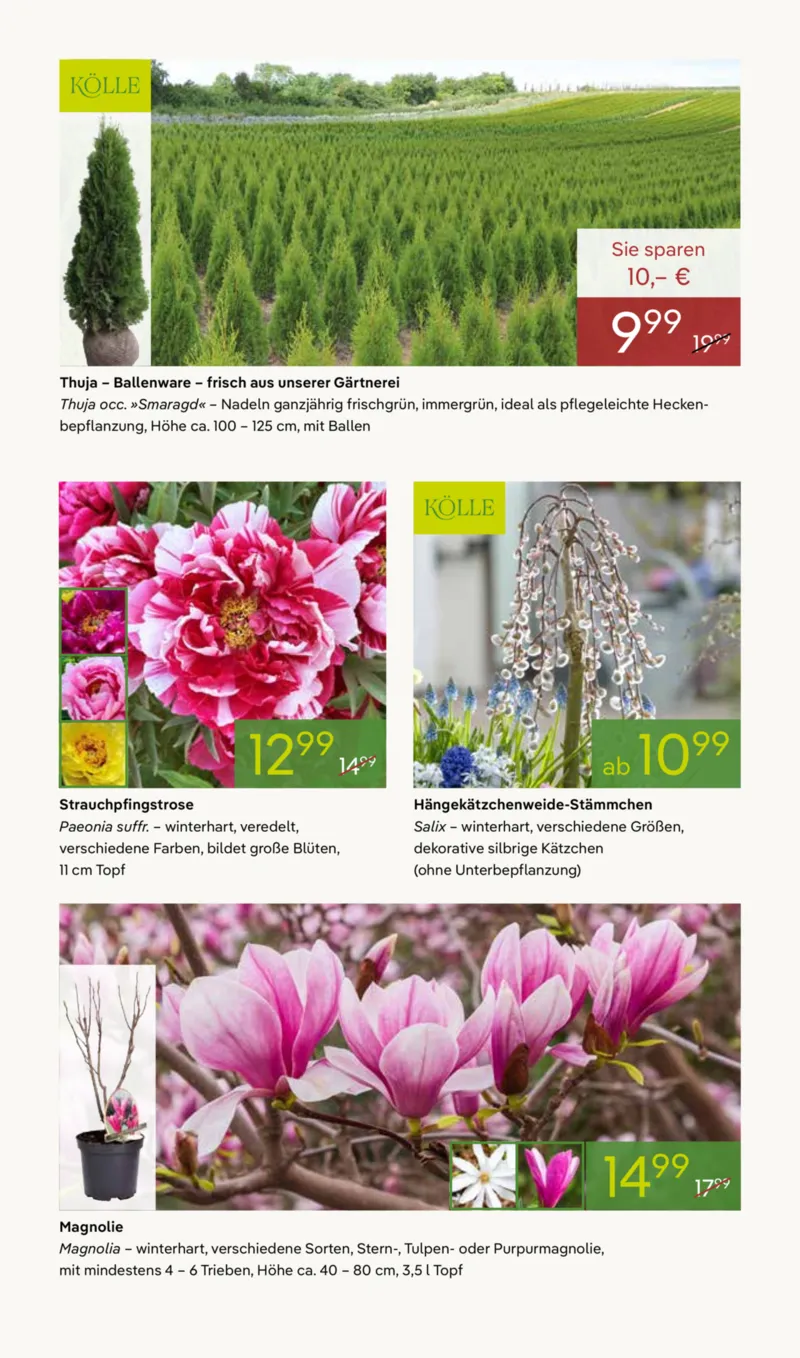 Pflanzen Kölle Prospekt vom 02.03.2026, Seite 6