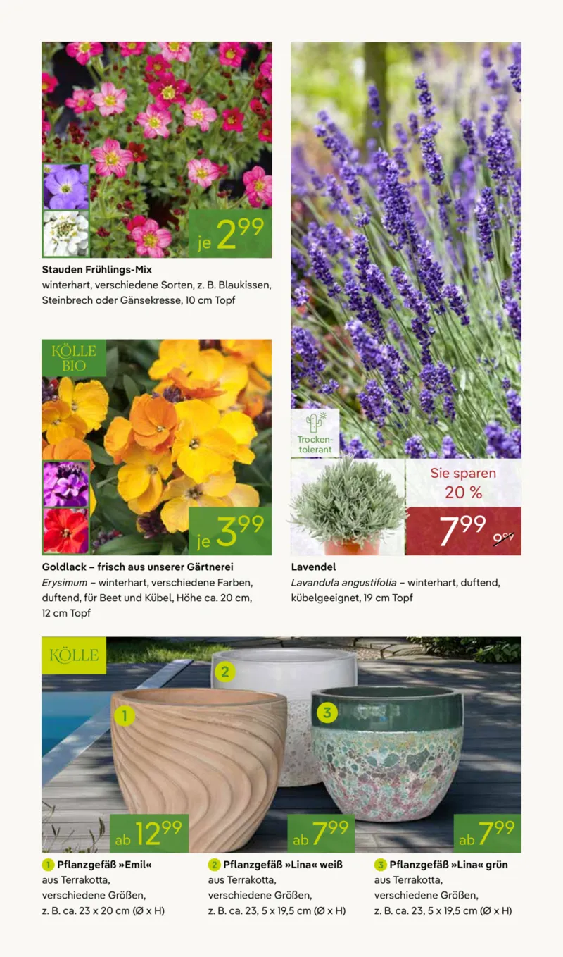 Pflanzen Kölle Prospekt vom 02.03.2026, Seite 7